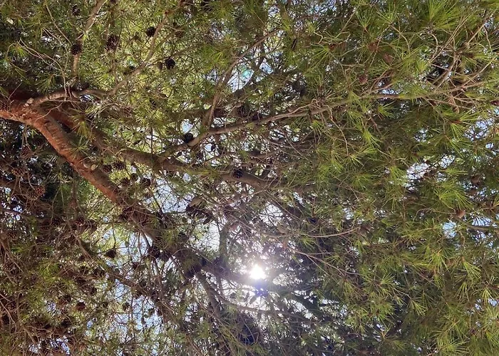 Appartamento Caralmar Paraiso